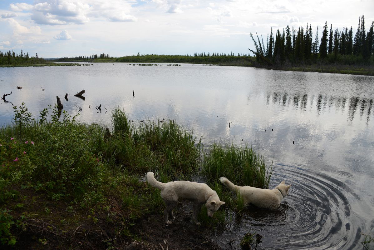 35B Lake On The Nature Walk At The Arctic Chalet in Inuvik Northwest Territories